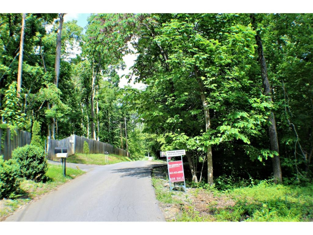 Tbd Orchard Road Elizabethton, TN 37643 - Photo 1 of 20 Photo 1