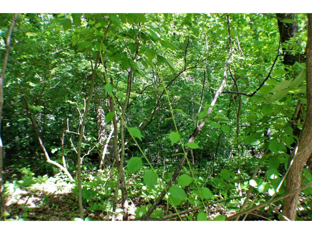 Tbd Orchard Road Elizabethton, TN 37643 - Photo 11 of 20 Photo 11