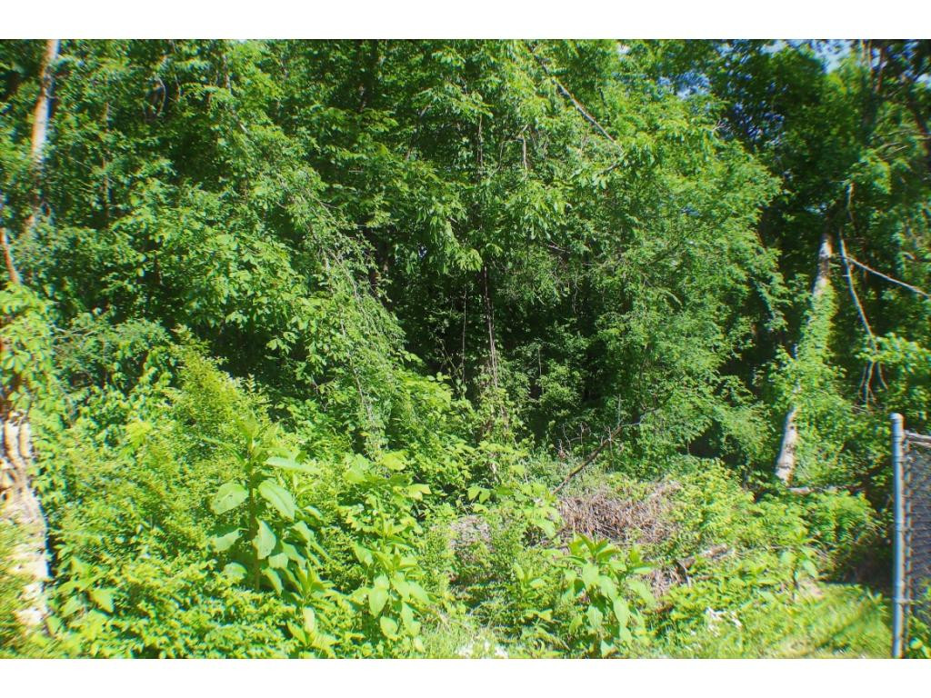 Tbd Orchard Road Elizabethton, TN 37643 - Photo 13 of 20 Photo 13