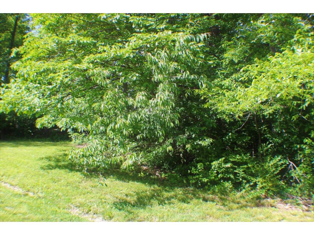 Tbd Orchard Road Elizabethton, TN 37643 - Photo 14 of 20 Photo 14
