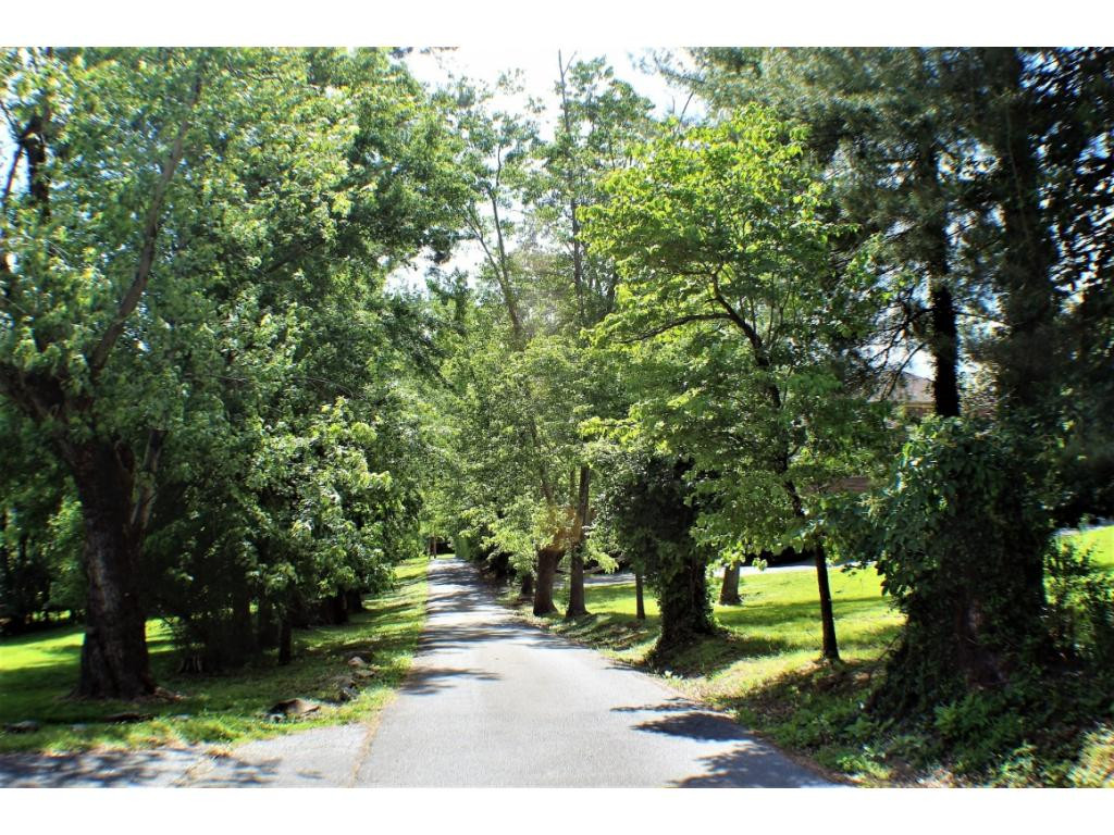 Tbd Orchard Road Elizabethton, TN 37643 - Photo 17 of 20 Photo 17