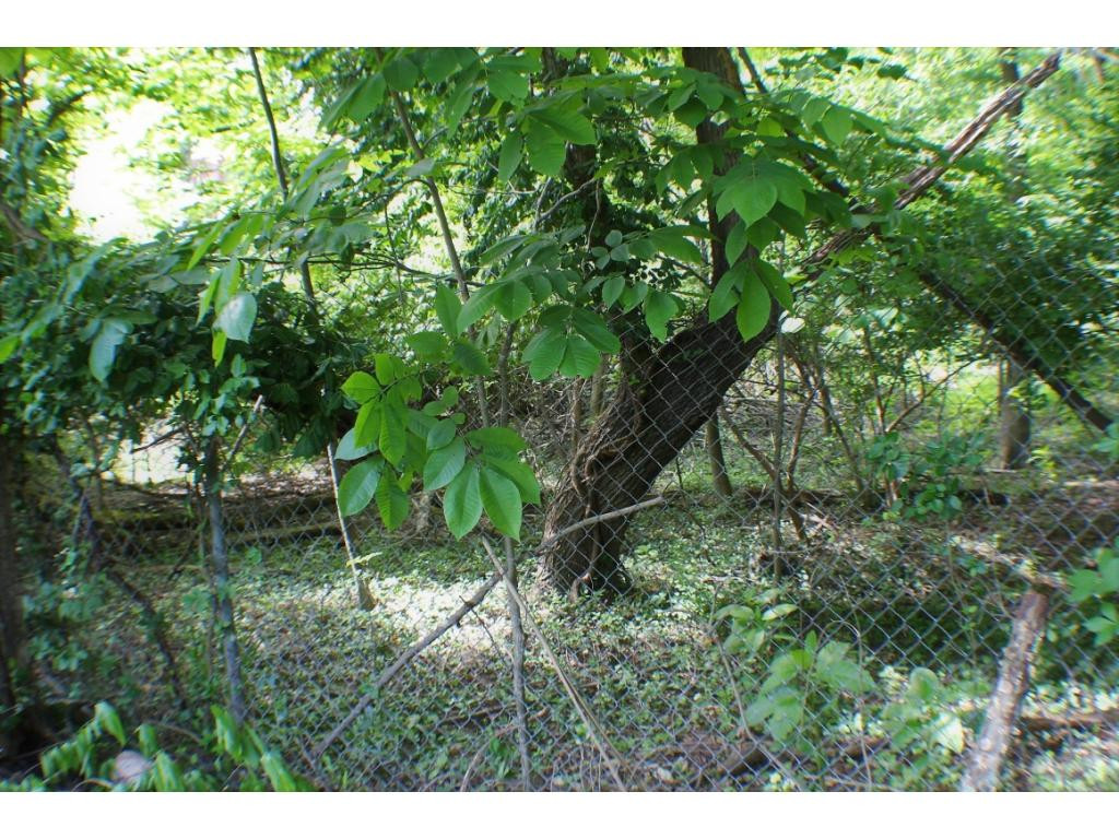 Tbd Orchard Road Elizabethton, TN 37643 - Photo 20 of 20 Photo 20