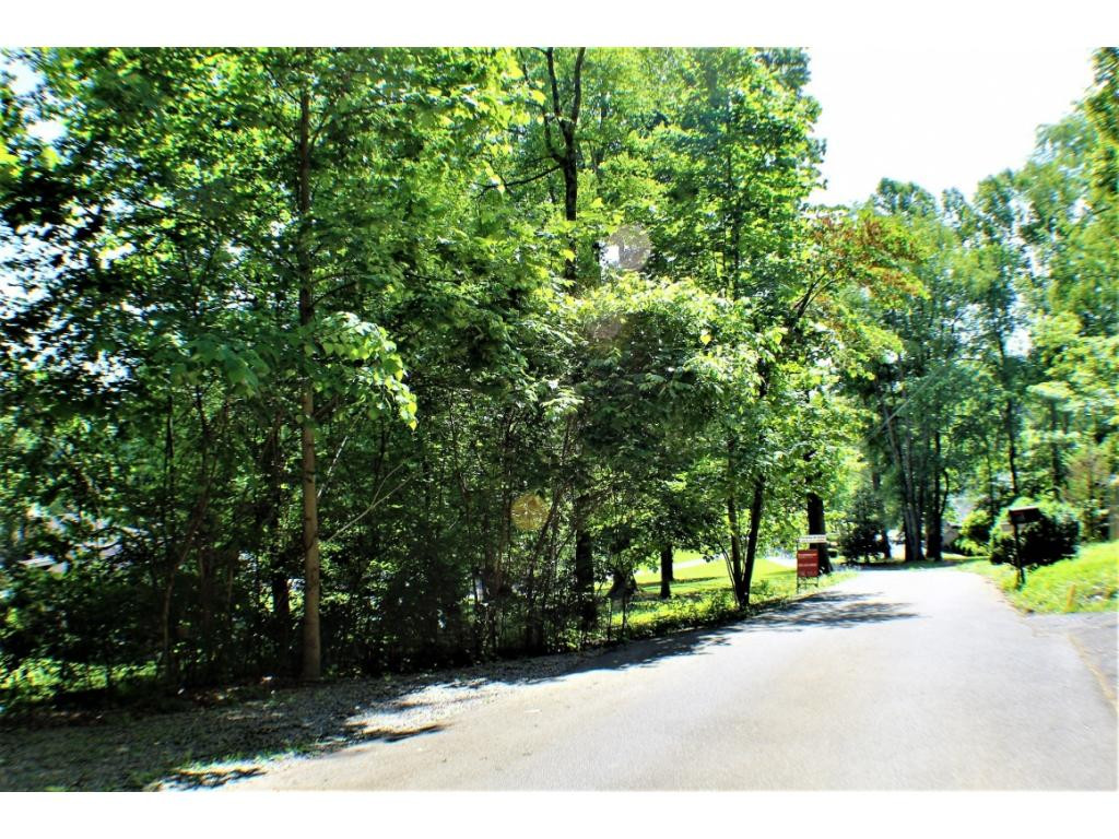 Tbd Orchard Road Elizabethton, TN 37643 - Photo 6 of 20 Photo 6