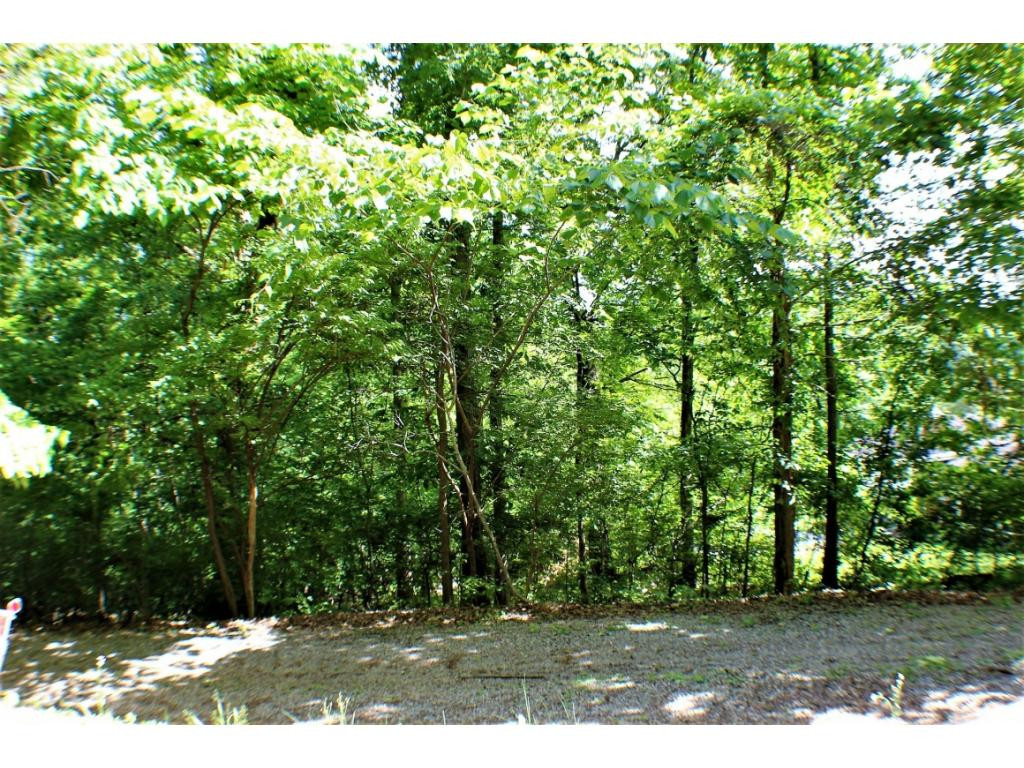 Tbd Orchard Road Elizabethton, TN 37643 - Photo 7 of 20 Photo 7
