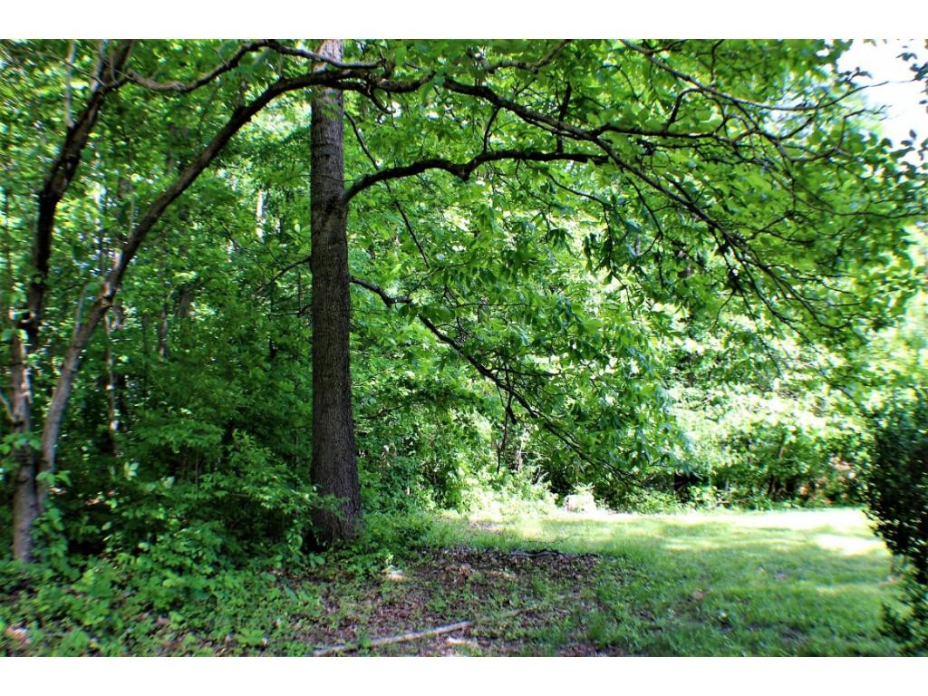 Tbd Orchard Road Elizabethton, TN 37643 - Photo 8 of 20 Photo 8