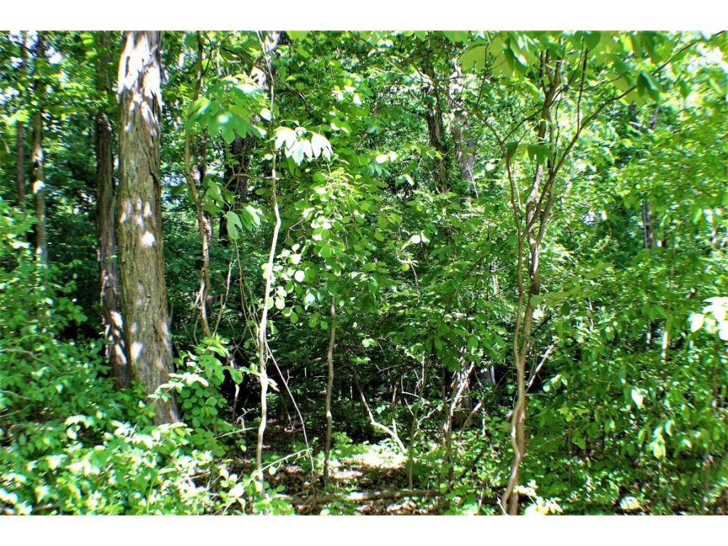 Tbd Orchard Road Elizabethton, TN 37643 - Photo 9 of 20 Photo 9