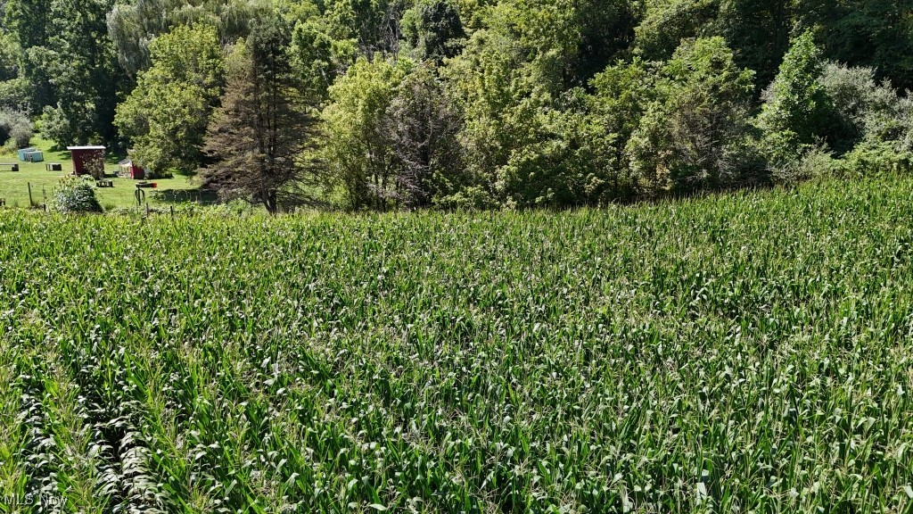 75 South River Road Southeast Malta, OH 43758 - Photo 12 of 48