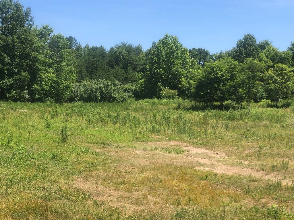 Tbd Pat Field Road Haysi, VA 24256 - Photo 15 of 16 Gallery Image 15