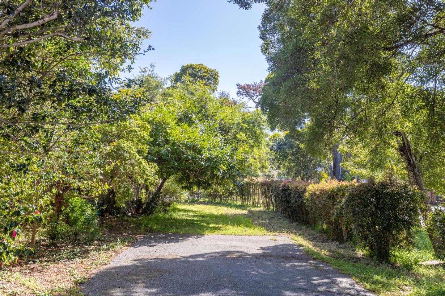 25286 Hatton Road Carmel, CA 93923 - Photo 33 of 34 a view of outdoor space and yard
