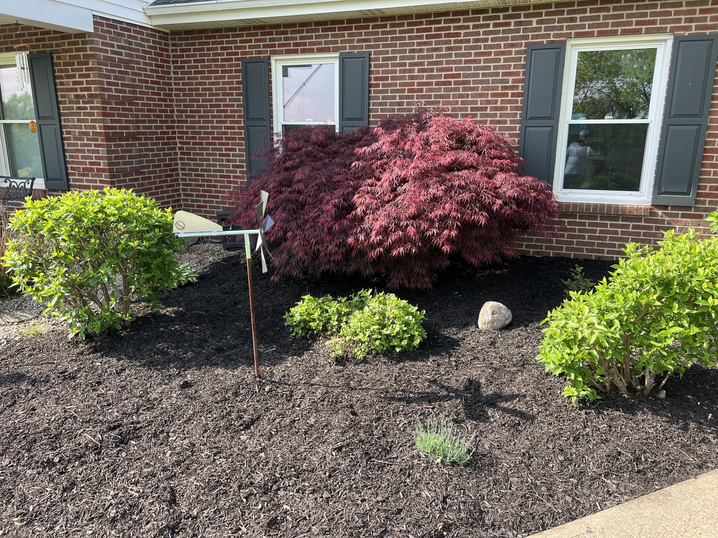 281 Bristow Road Independence, KY 41051 - Photo 33 of 40