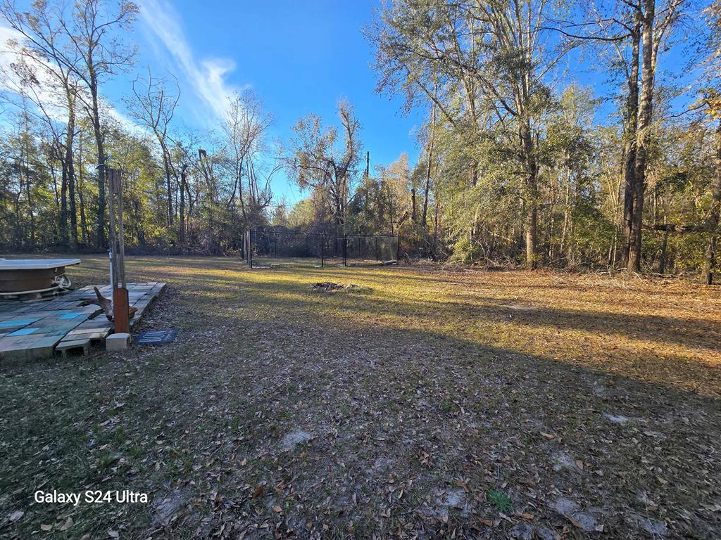 6389 Northeast Hickory Grove Road Pinetta, FL 32350 - Photo 23 of 39 Gallery Image 23