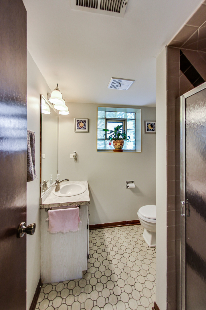 10828 Massasoit Avenue Chicago Ridge, IL 60415 - Photo 17 of 22