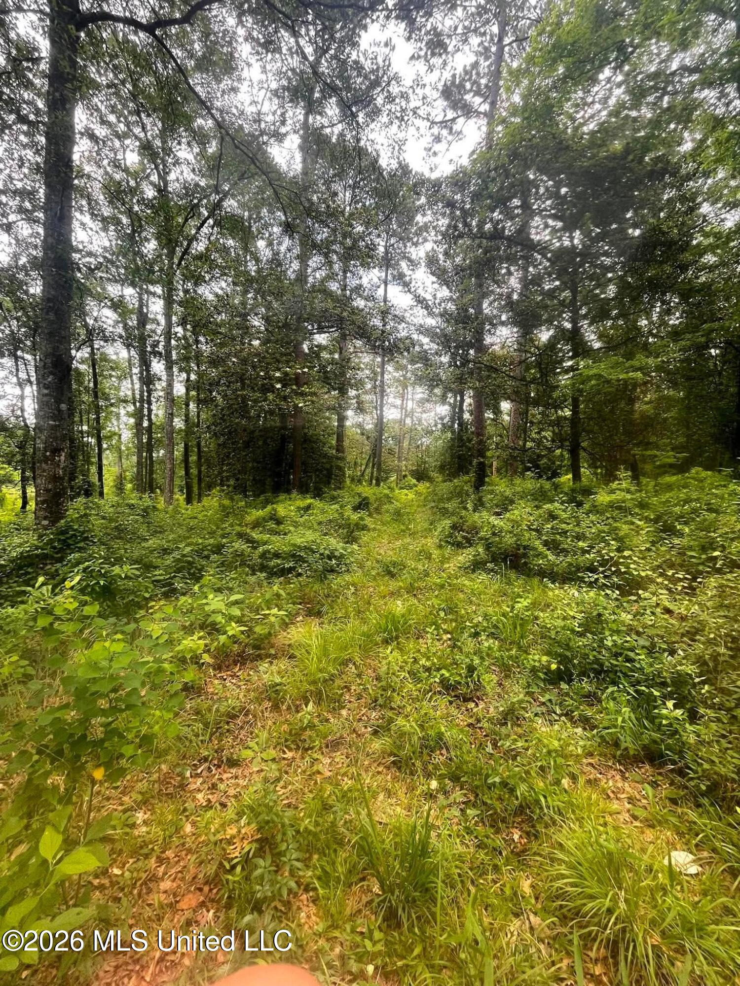 2 Magnolia Progress Road Magnolia, MS 39652 - Photo 6 of 6 4a80a31dfbfcfc13e50ea475a0ef49ac