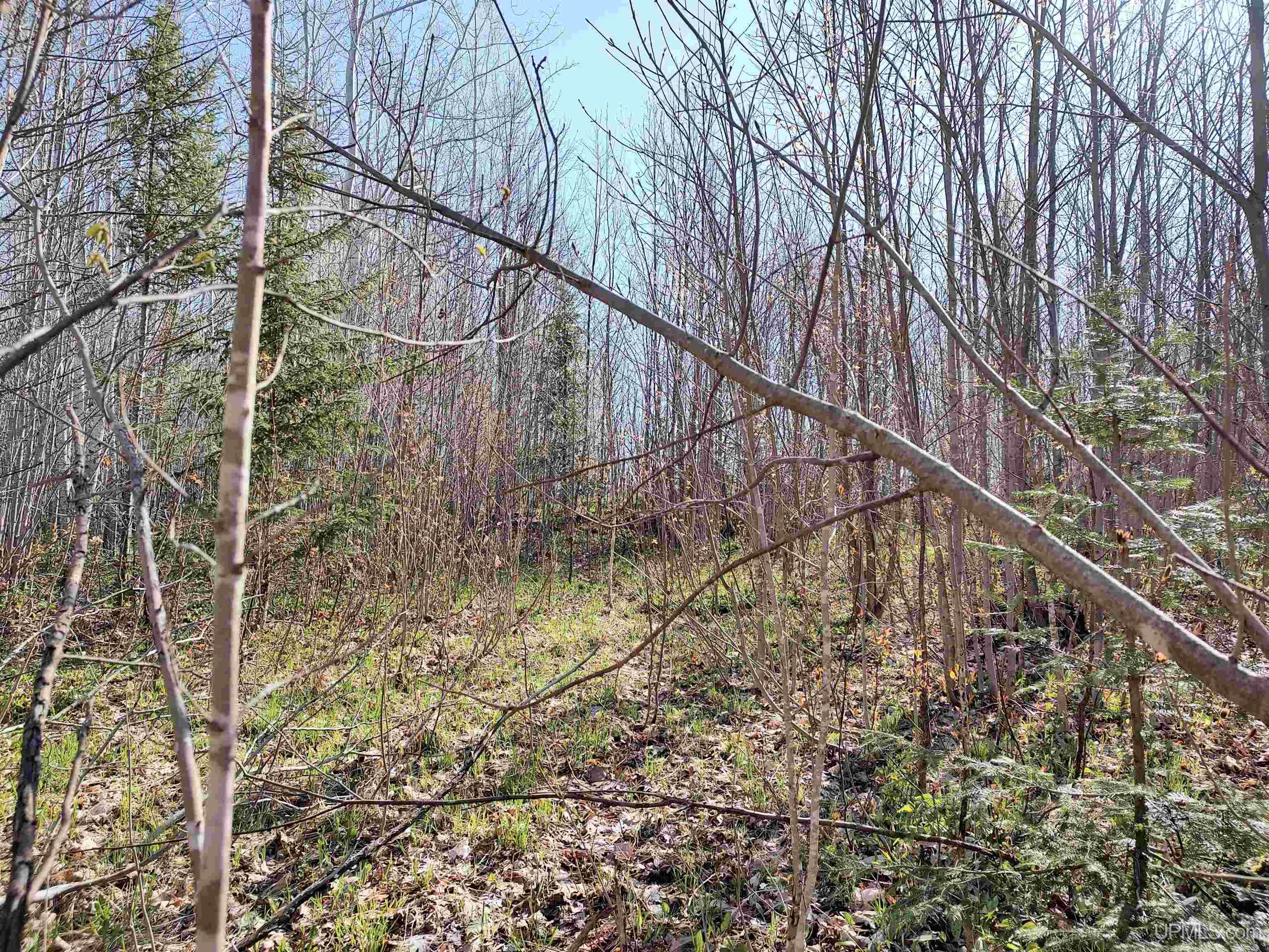 Tbd Tbd Schooner Road Ontonagon, MI 49953 - Photo 25 of 44