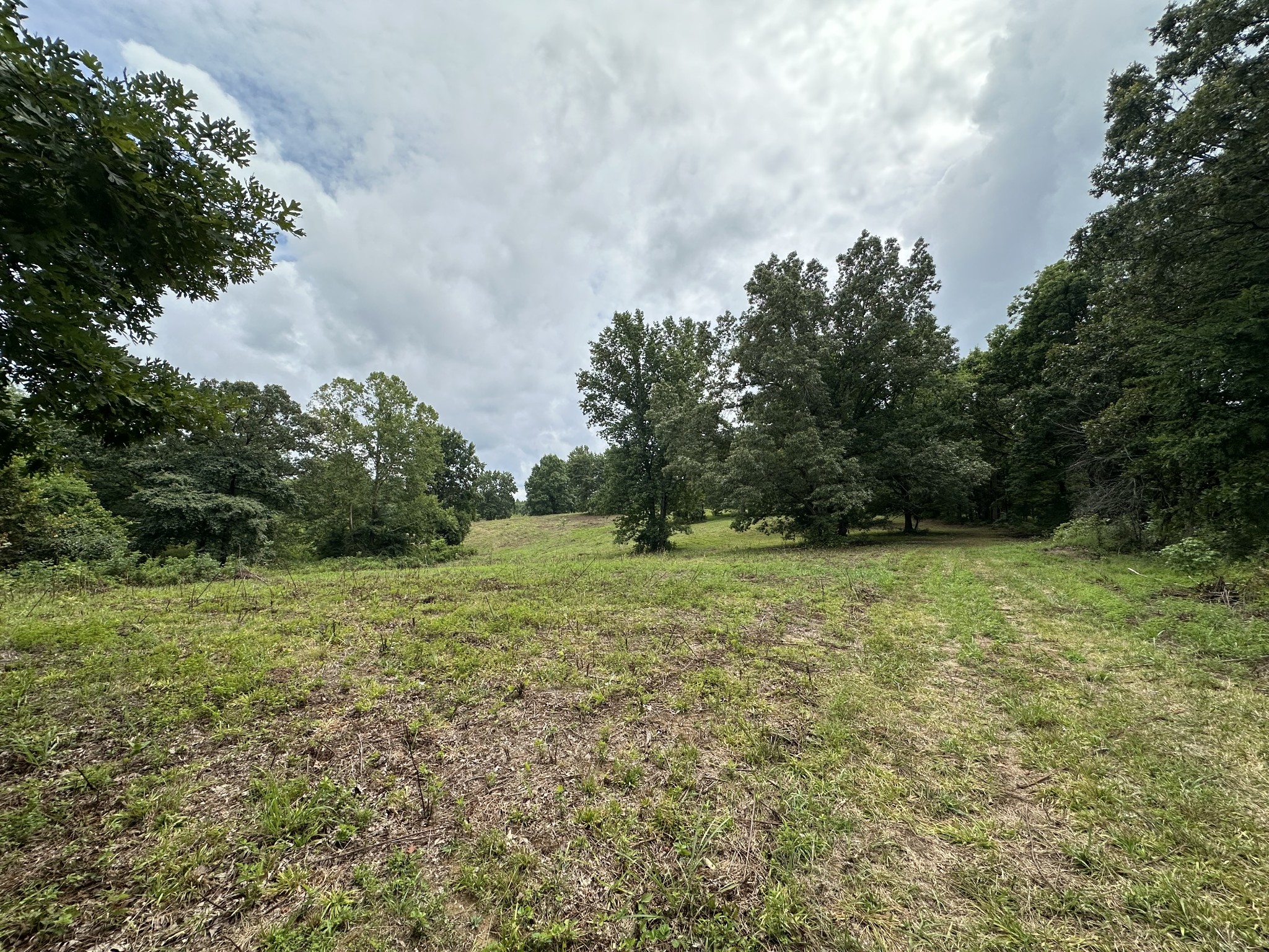 0 Darrell Rye Road Erin, TN 37061 - Photo 1 of 1 Gallery Image 1