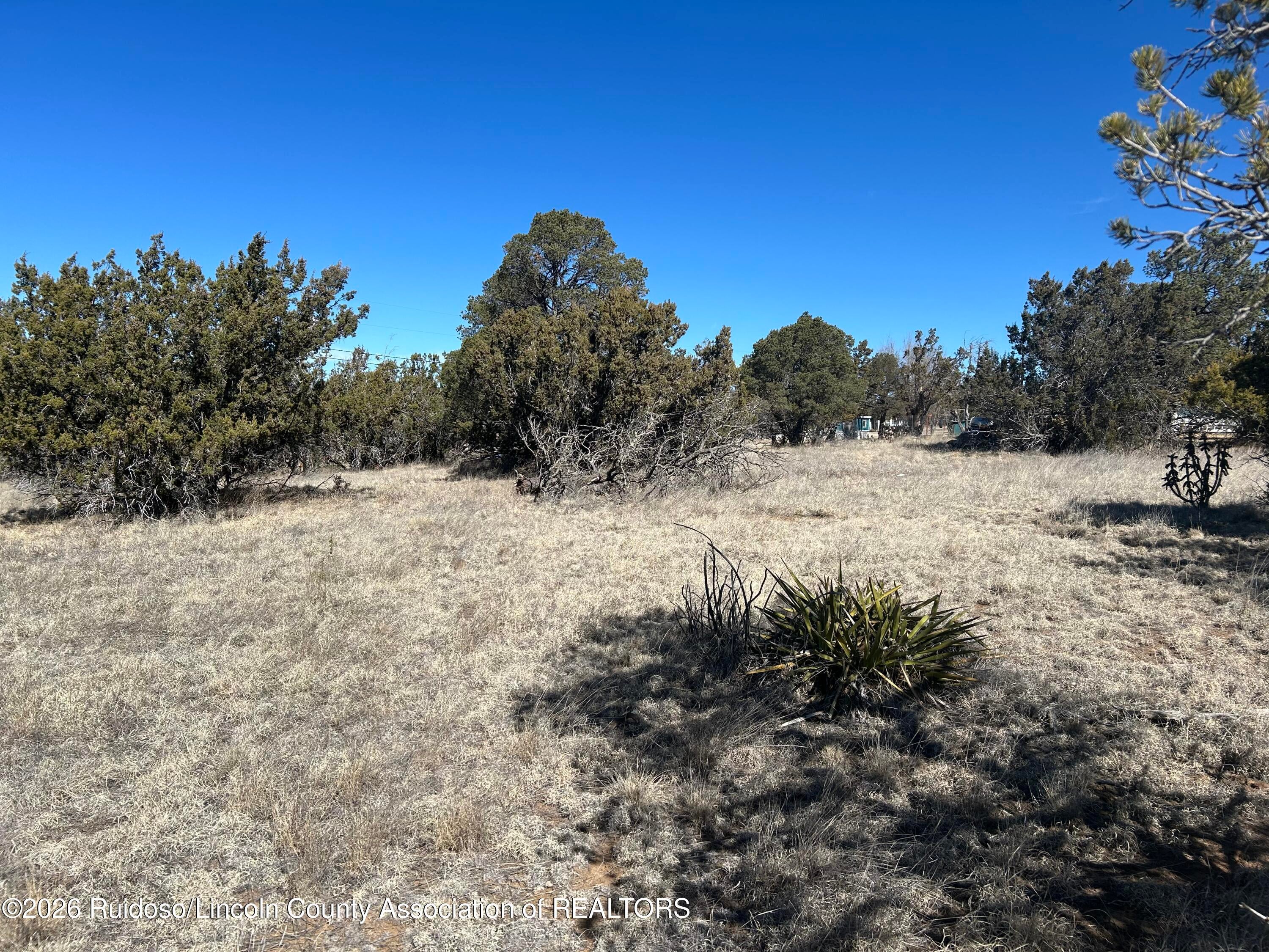 109 Crest View Road Capitan, NM 88316 - Photo 8 of 12 Gallery Image 8