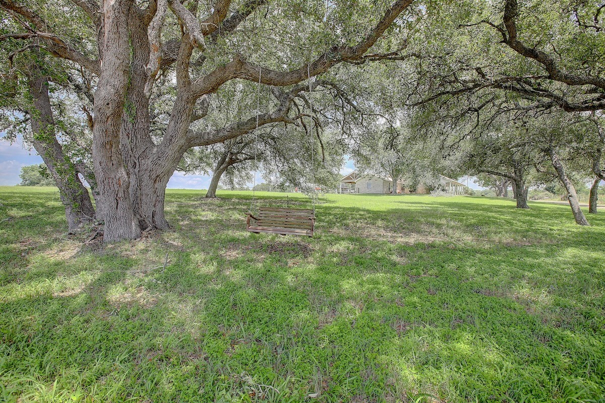 4214 Old College Road La Grange, TX 78945 - Photo 7 of 42 a big yard with lots of green space and deers