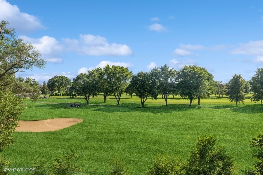1400 North Elmhurst Road, Unit 411 Mount Prospect, IL 60056 - Photo 13 of 13 a green field with lots of trees in the background