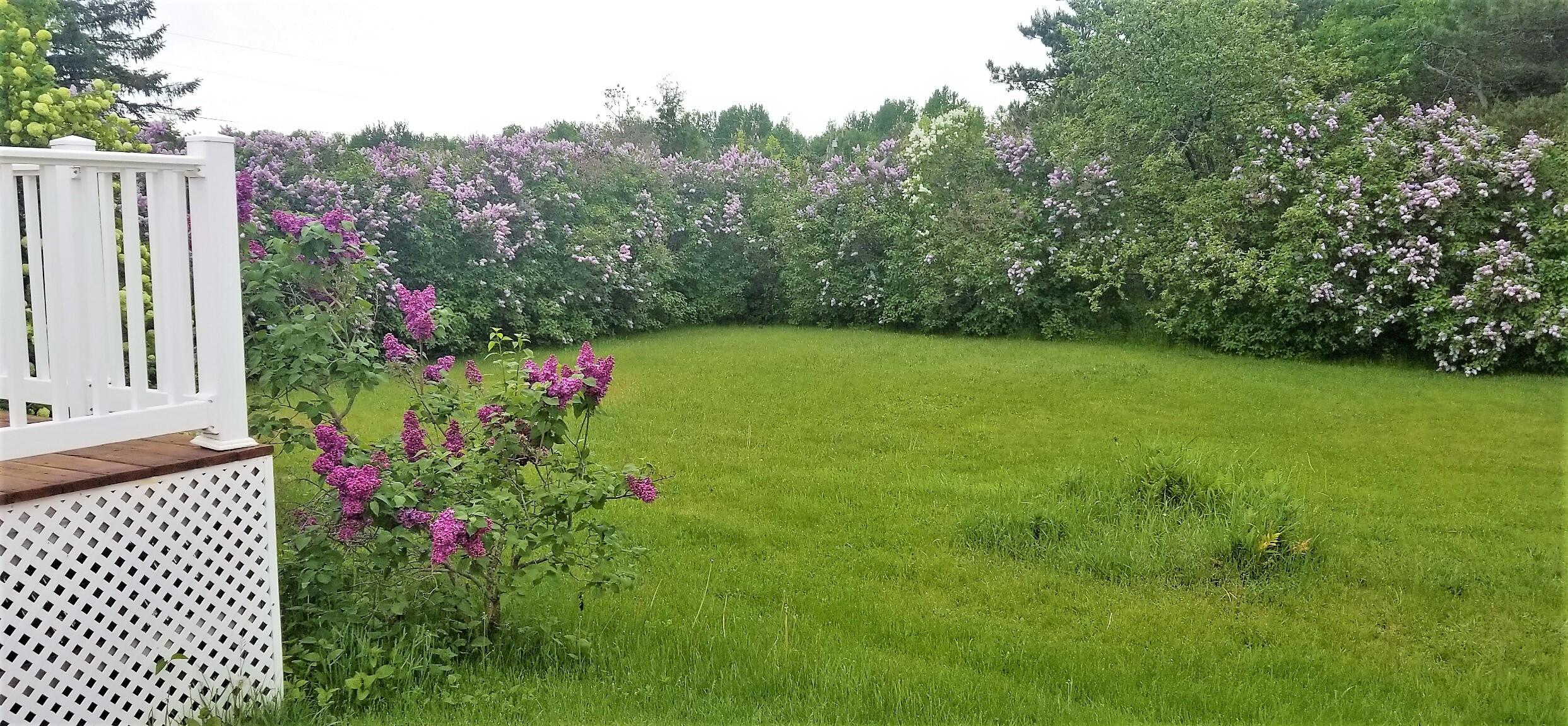 3864 Monaghan Road Alpena, MI 49707 - Photo 18 of 19 Gallery Image 18