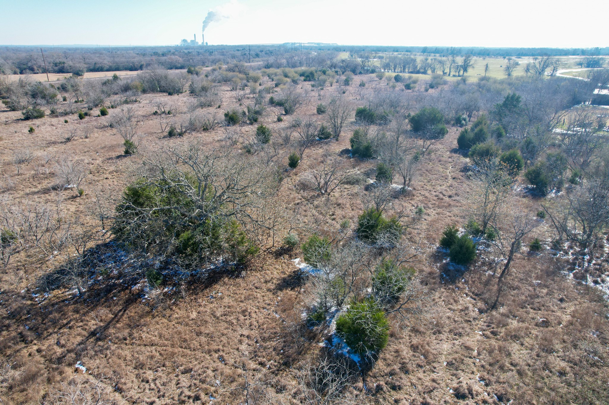 1 Prairie Grove Road Bremond, TX 76629 - Photo 22 of 24 a view of a dry field with lots of trees