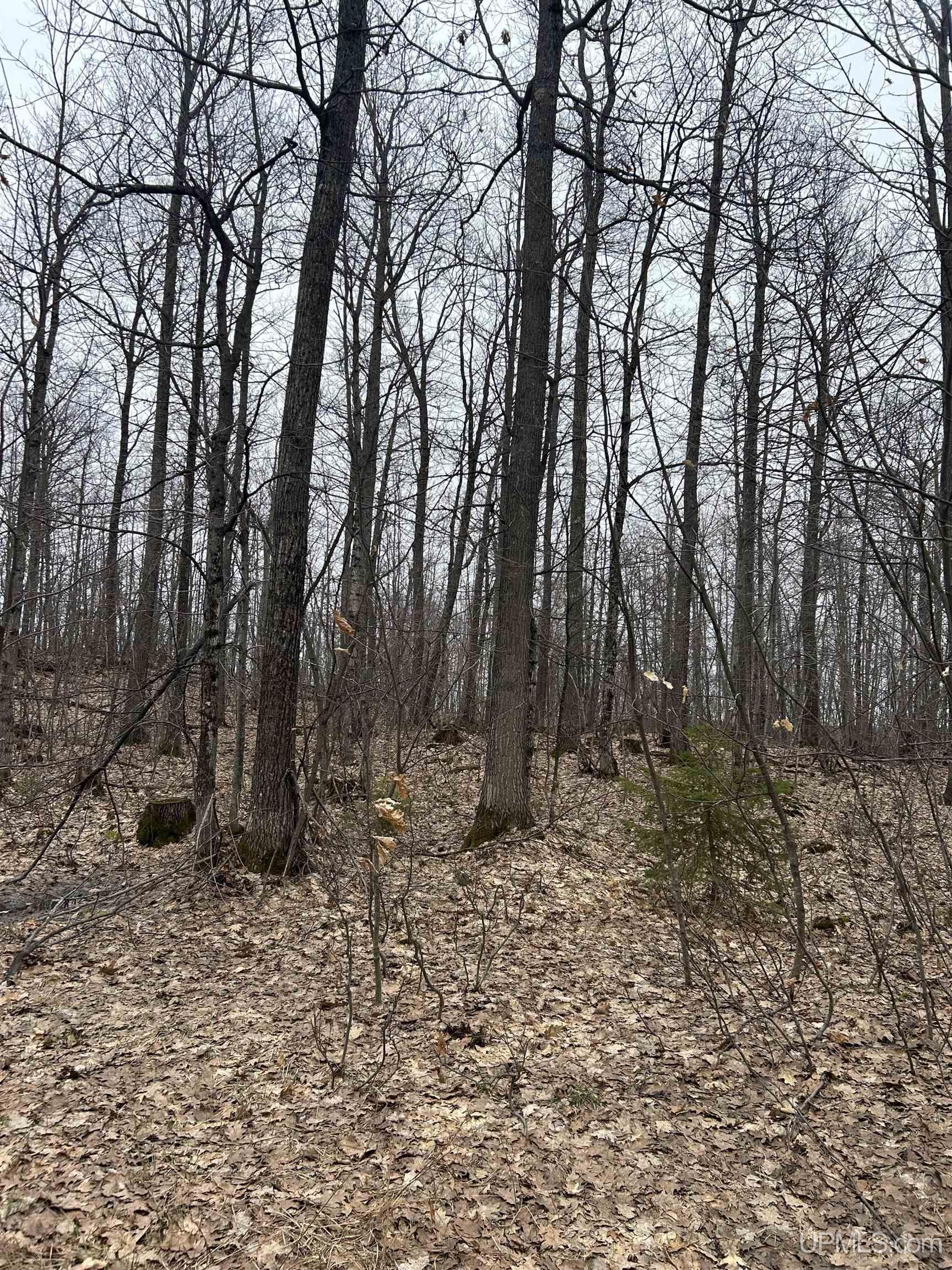 Near Krooks Road Negaunee, MI 49866 - Photo 11 of 15
