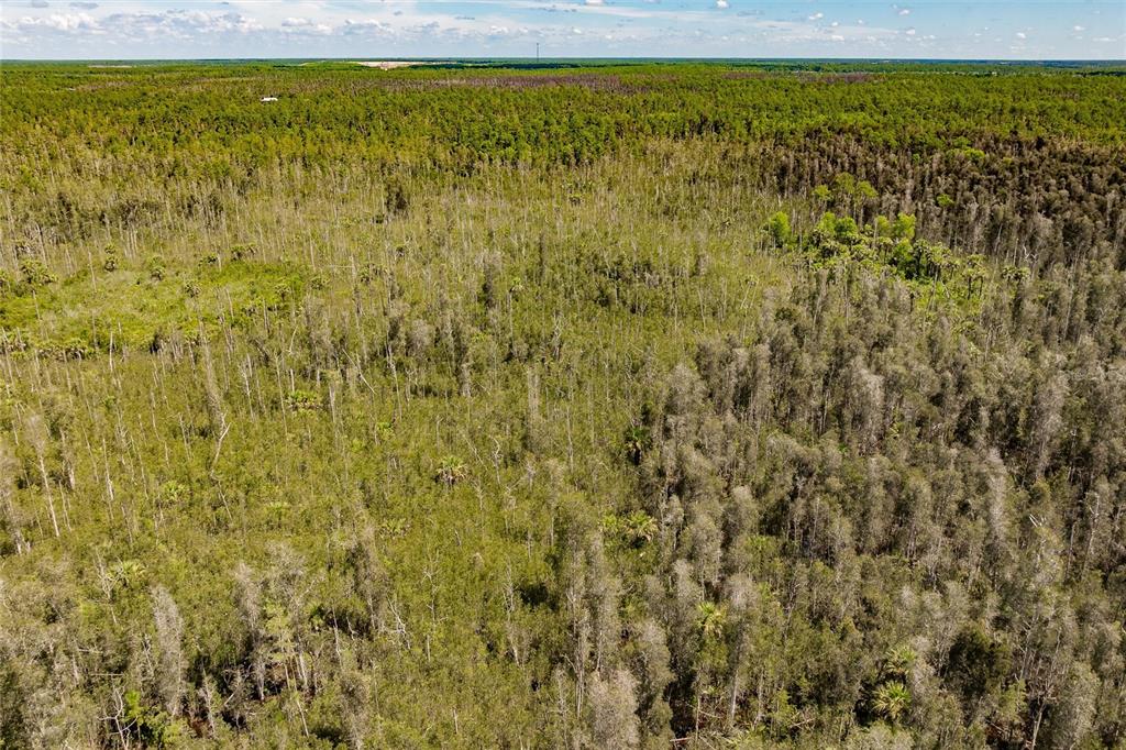 Unassigned Naples, FL 34114 - Photo 12 of 16 a view of a street view of a building