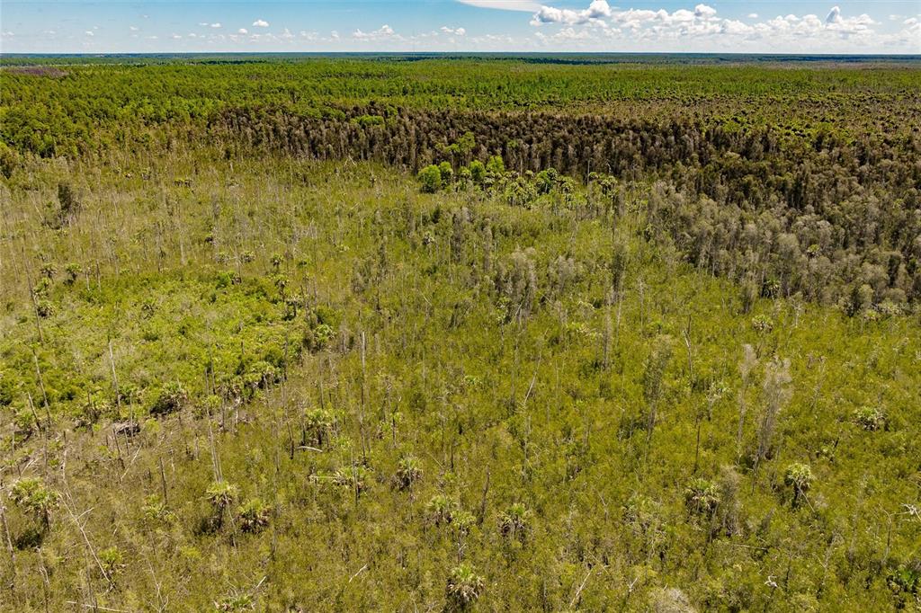 Unassigned Naples, FL 34114 - Photo 13 of 16 a view of a field with an ocean