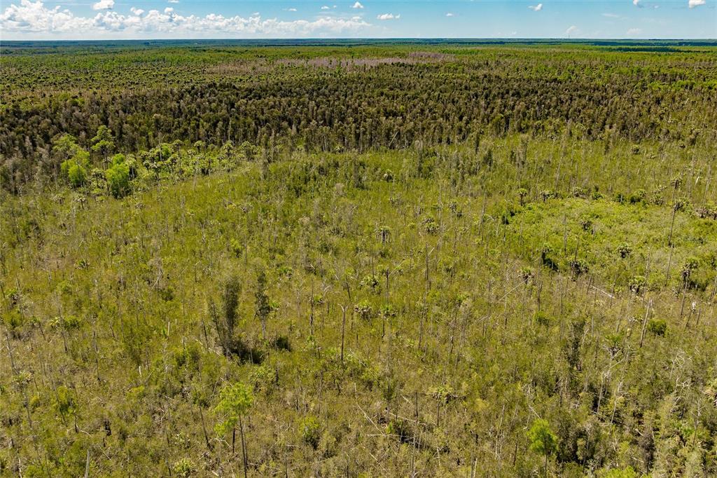 Unassigned Naples, FL 34114 - Photo 14 of 16 a view of a field with an ocean view
