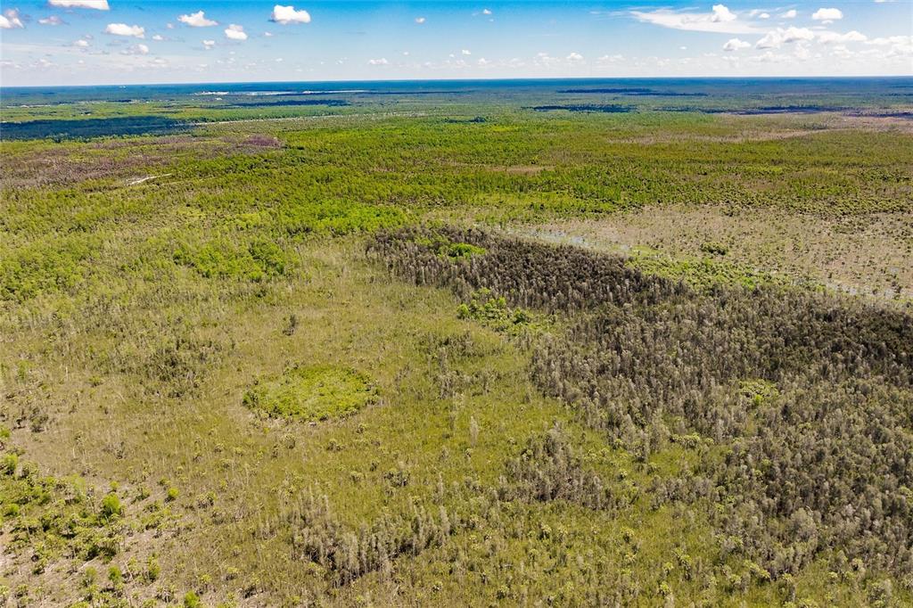 Unassigned Naples, FL 34114 - Photo 5 of 16 a view of an ocean from a yard