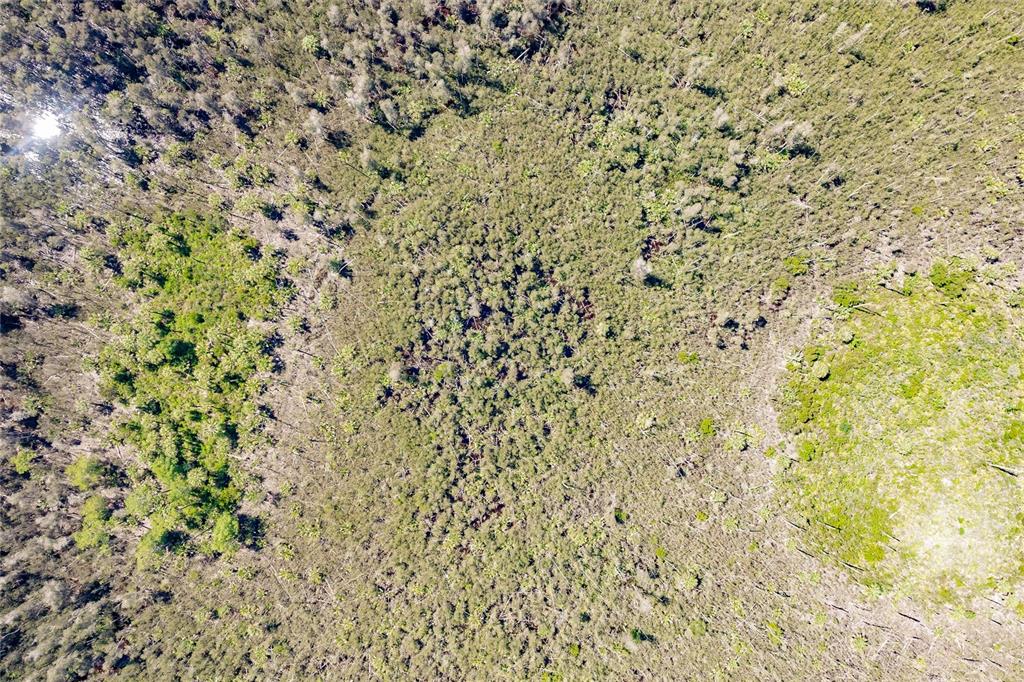 Unassigned Naples, FL 34114 - Photo 7 of 16