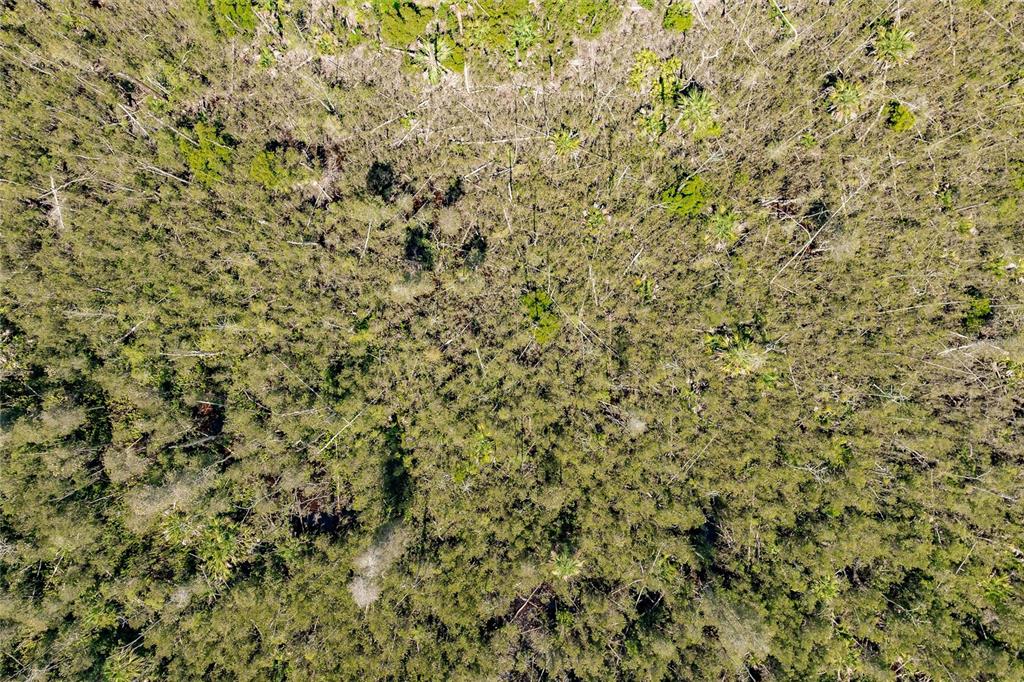 Unassigned Naples, FL 34114 - Photo 8 of 16