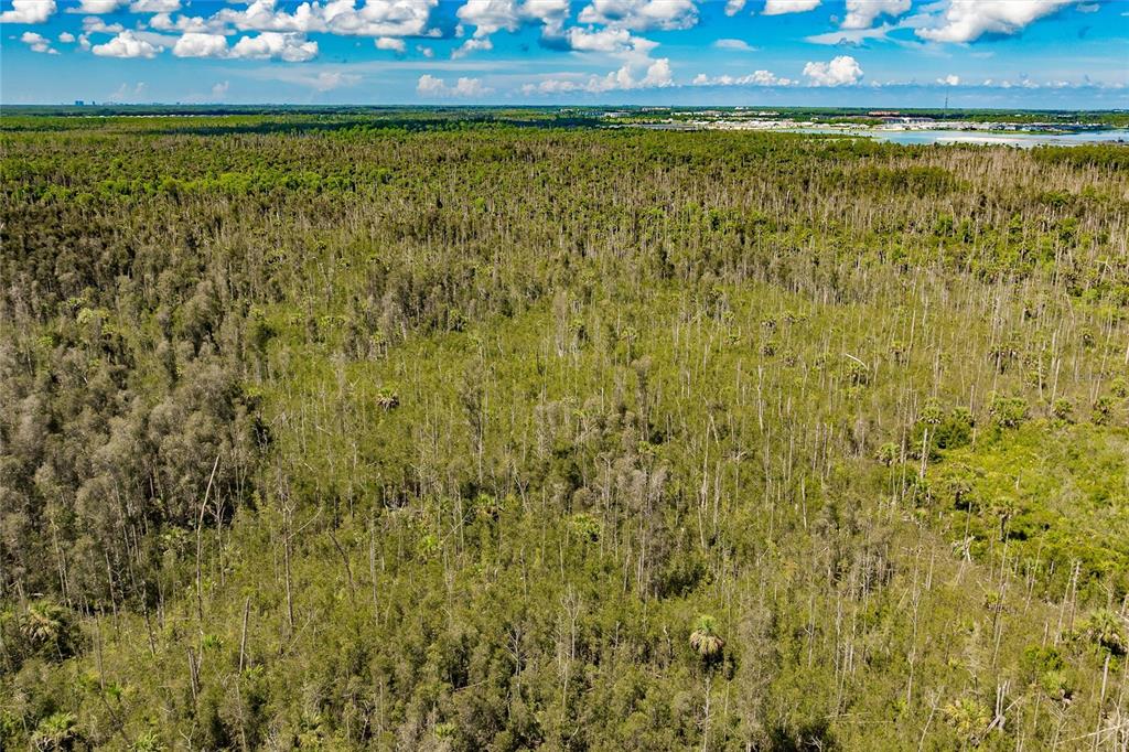 Unassigned Naples, FL 34114 - Photo 10 of 16 a view of an ocean from a yard