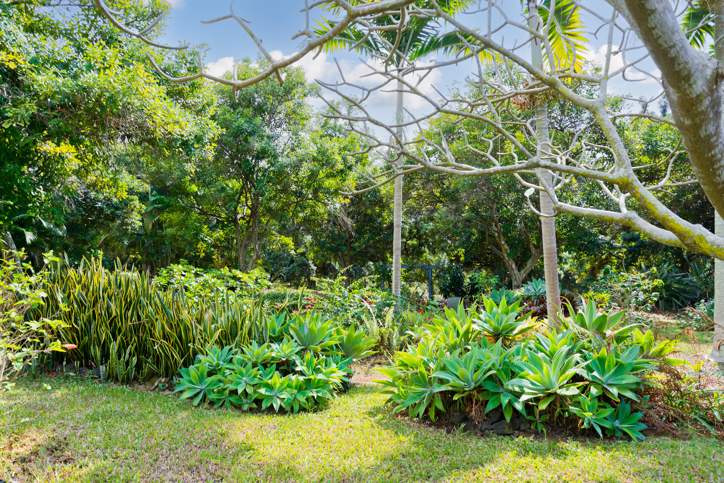 83-5599C Middle Keei Road Captain Cook, HI 96704 - Photo 25 of 30 Gallery Image 25