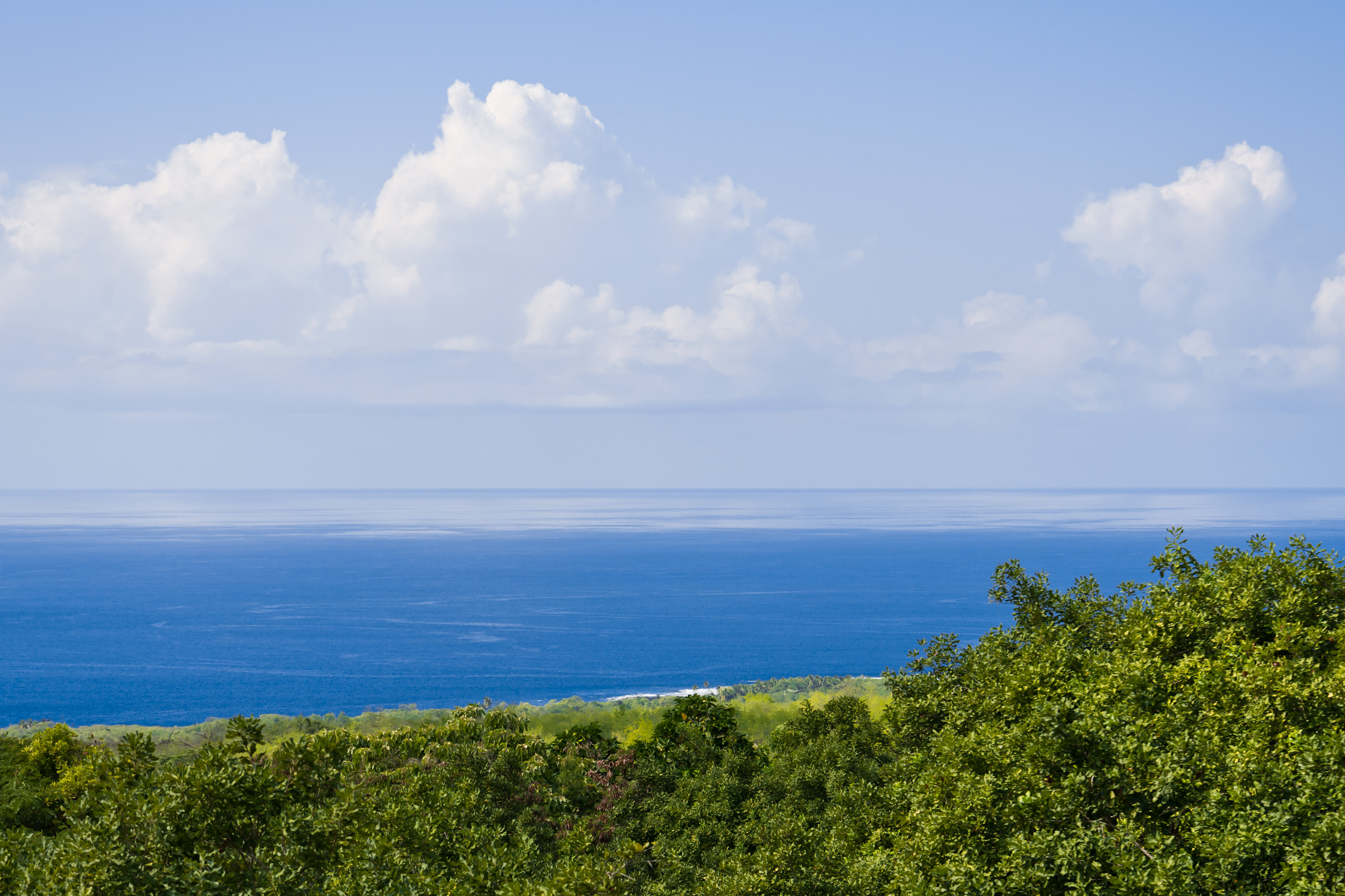 83-5599C Middle Keei Road Captain Cook, HI 96704 - Photo 6 of 30 Gallery Image 6
