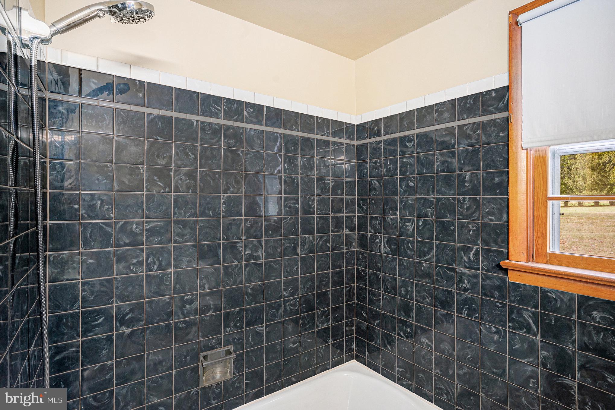 2390 Old Rte 100 Barto, PA 19504 - Photo 21 of 44 a bathroom with a shower