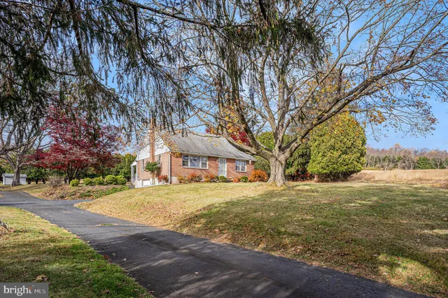 a big yard with trees in front of it