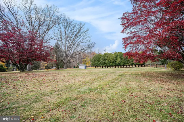 a yard with large trees