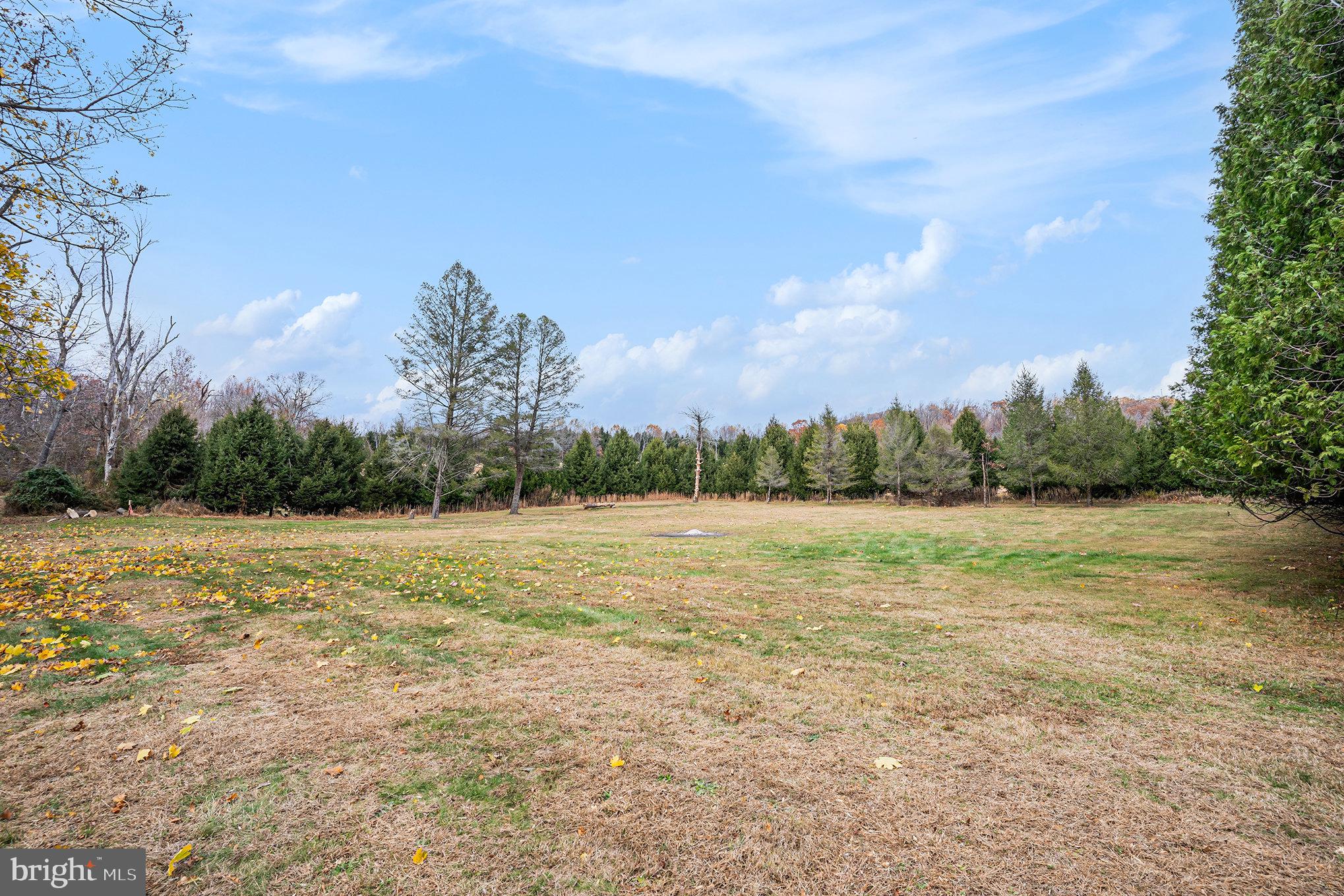 2390 Old Rte 100 Barto, PA 19504 - Photo 34 of 44 a view of an outdoor space and a yard
