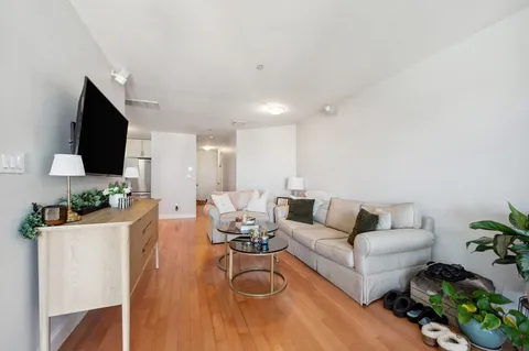 a living room with furniture a flat screen tv and a potted plant