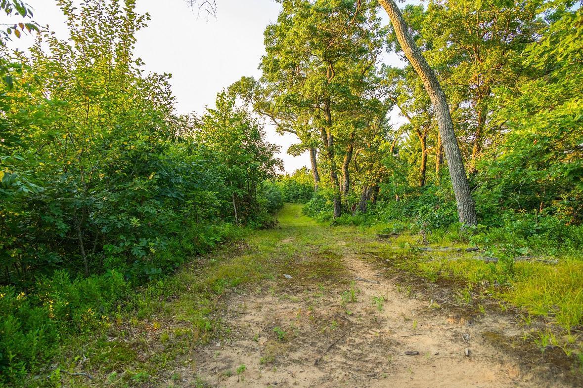 0 Co Road Blair, WI 54616 - Photo 12 of 29
