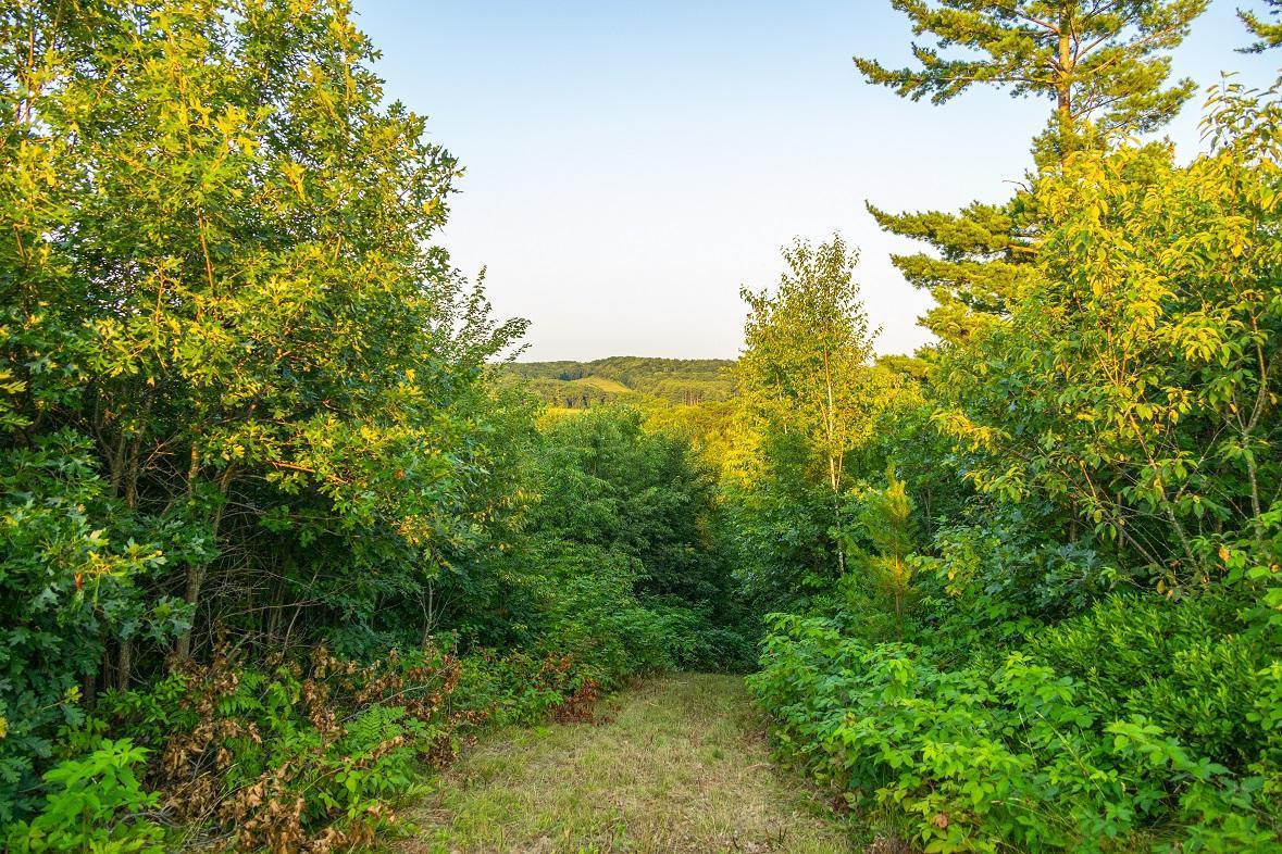 0 Co Road Blair, WI 54616 - Photo 14 of 29