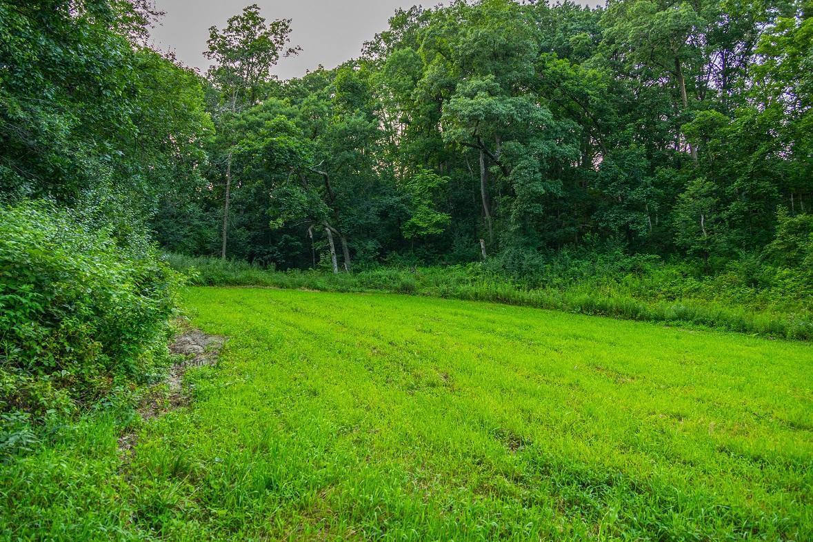 0 Co Road Blair, WI 54616 - Photo 22 of 29