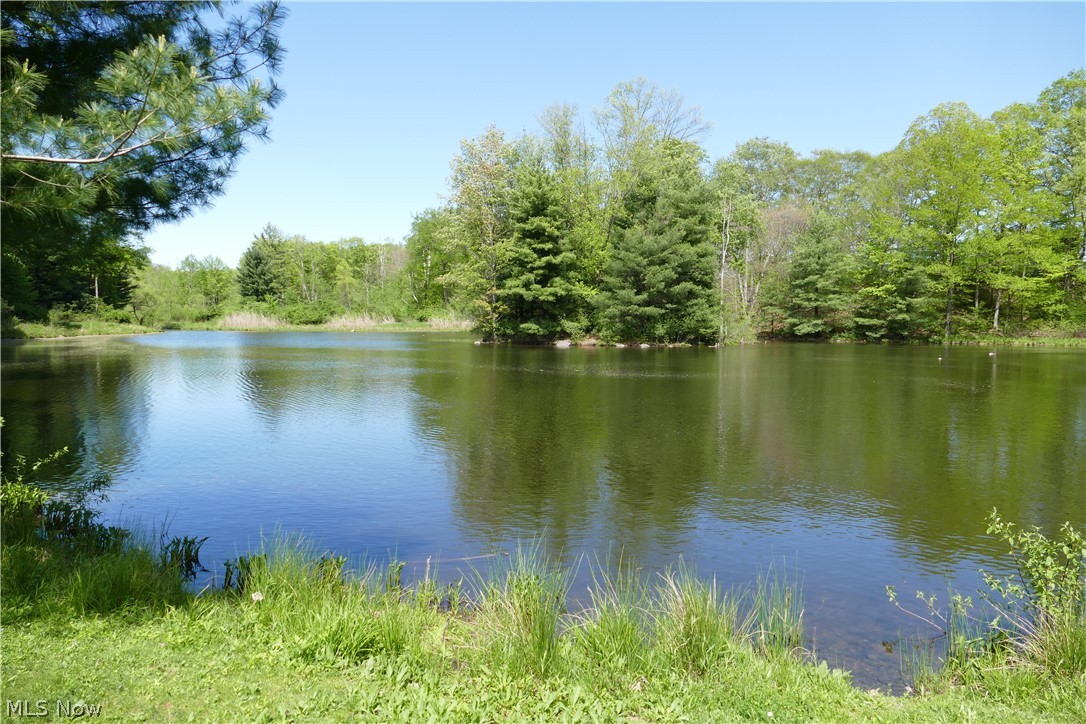 17340 Huntley Road Huntsburg, OH 44046 - Photo 5 of 24 View of water feature