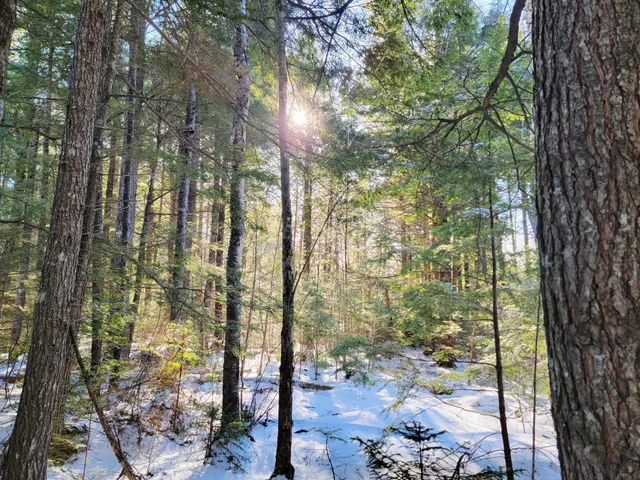 $69,000 | 27 Trout Brook Road, Mariaville, ME 04605