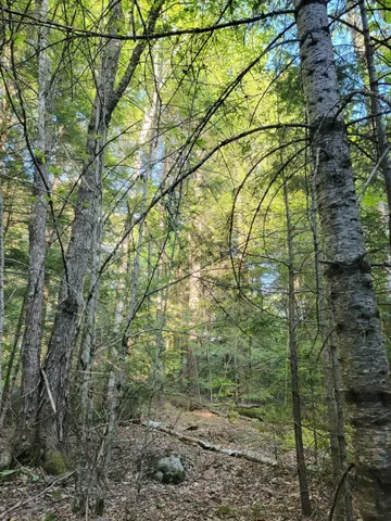 $69,000 | 27 Trout Brook Road, Mariaville, ME 04605