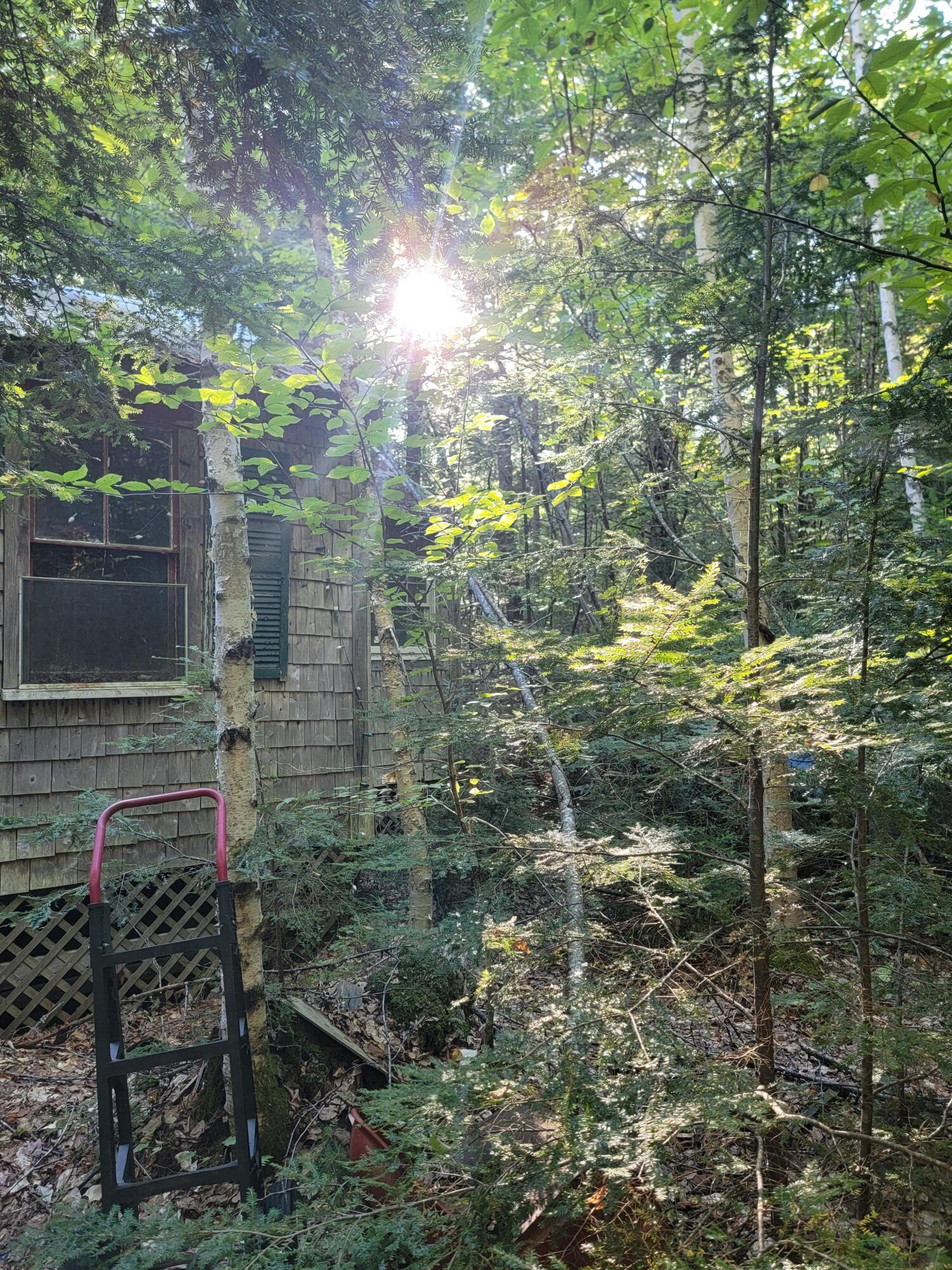 27 Trout Brook Road Mariaville, ME 04605 - Photo 18 of 18 Front of Camp