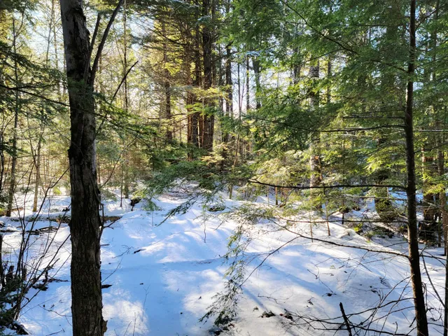 $69,000 | 27 Trout Brook Road, Mariaville, ME 04605