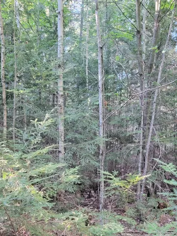 $69,000 | 27 Trout Brook Road, Mariaville, ME 04605