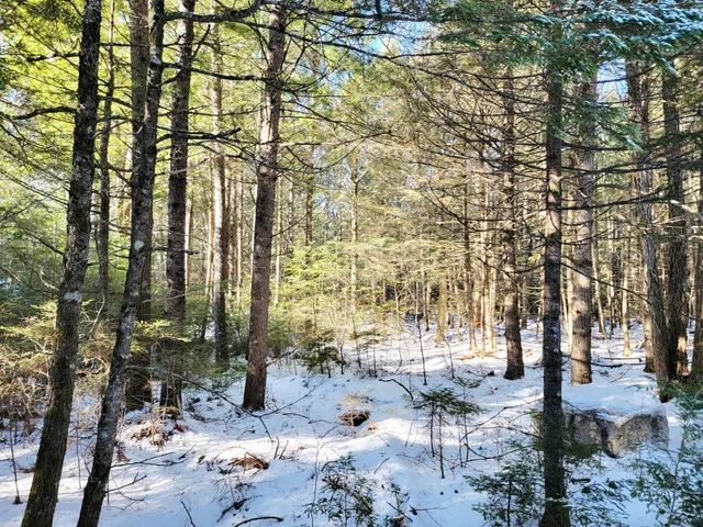 $69,000 | 27 Trout Brook Road, Mariaville, ME 04605