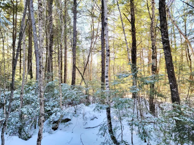 $69,000 | 27 Trout Brook Road, Mariaville, ME 04605